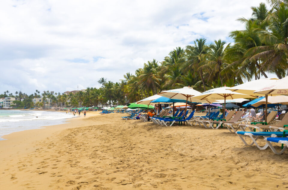 Cabarete Cuisine: Top Restaurants and Local Dishes You Must Try
