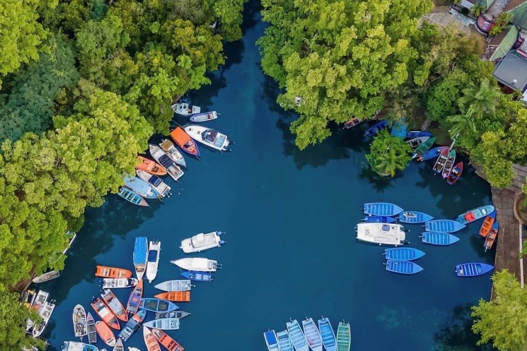 7 day trip north coast dr