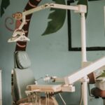 monkey jungle cabarete