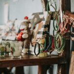 monkey jungle cabarete