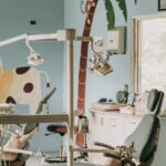 monkey jungle cabarete