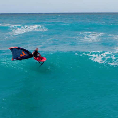 ocean dream by sealane