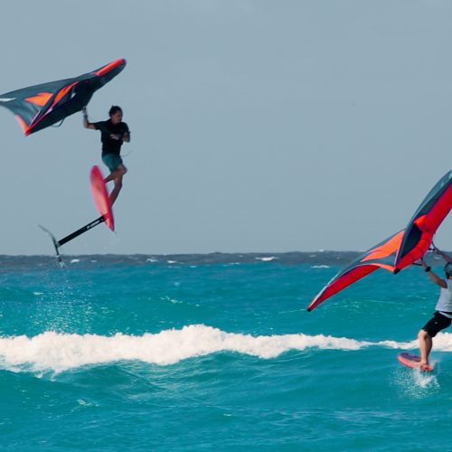 ocean dream by sealane