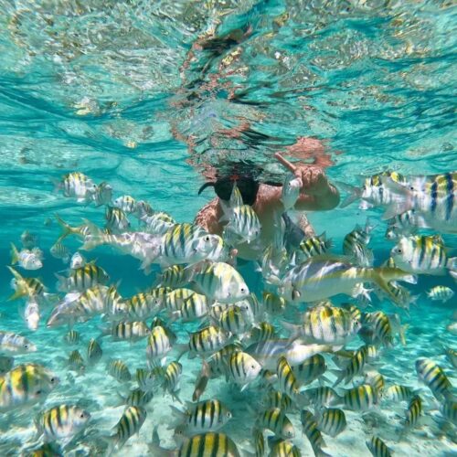 Tony tours excursions cabarete