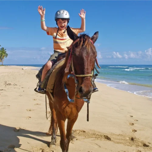 Tony tours excursions cabarete